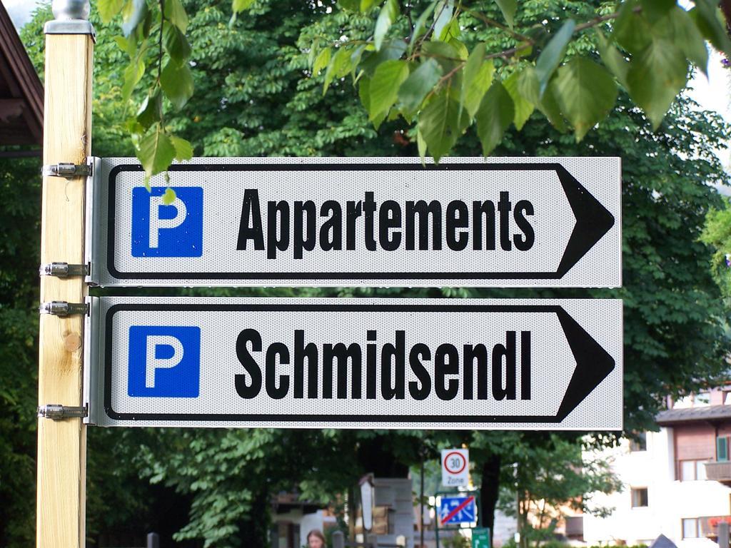 Appartements Schmidsendl Lofer Extérieur photo